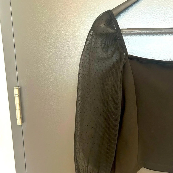 Socialite crop corset style with  shear puffy sleeves mint condition beautiful - Picture 4 of 8